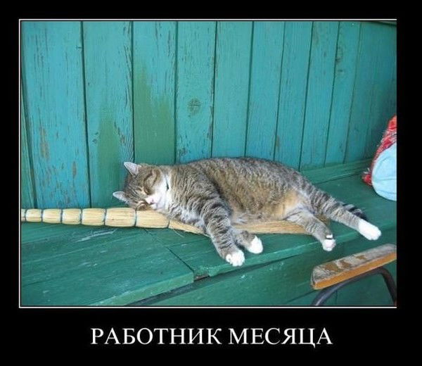 Константин Еременко