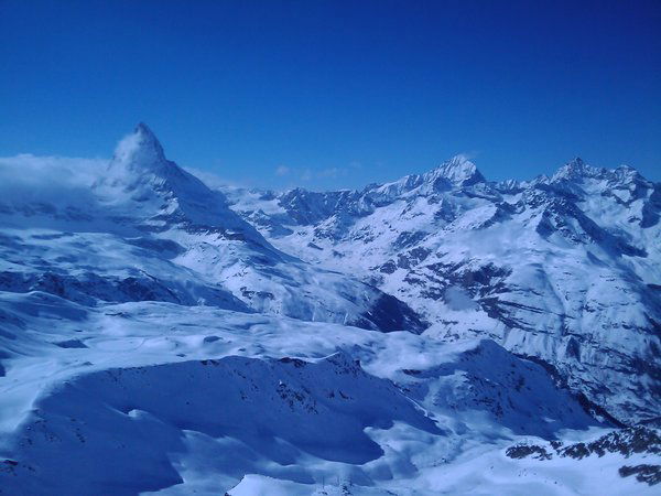 Алешин Дмитрий