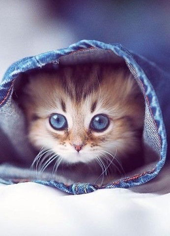 Лиля Колтышева