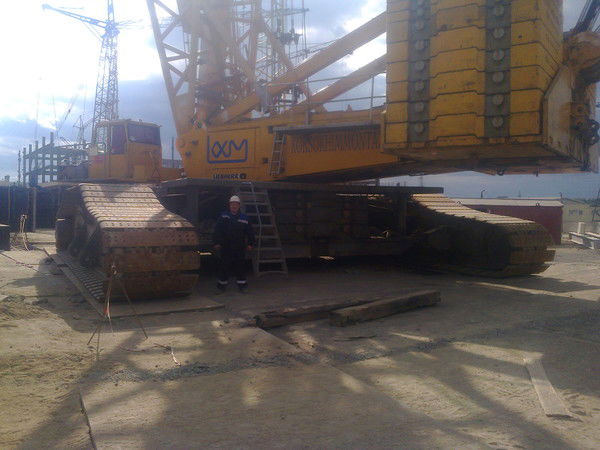 Тимур Николаев