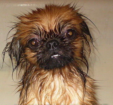 Андрей Акулов