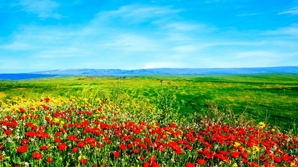 Мээрим Такенова