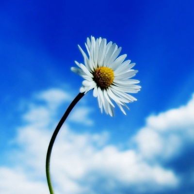 Саша Фридрих