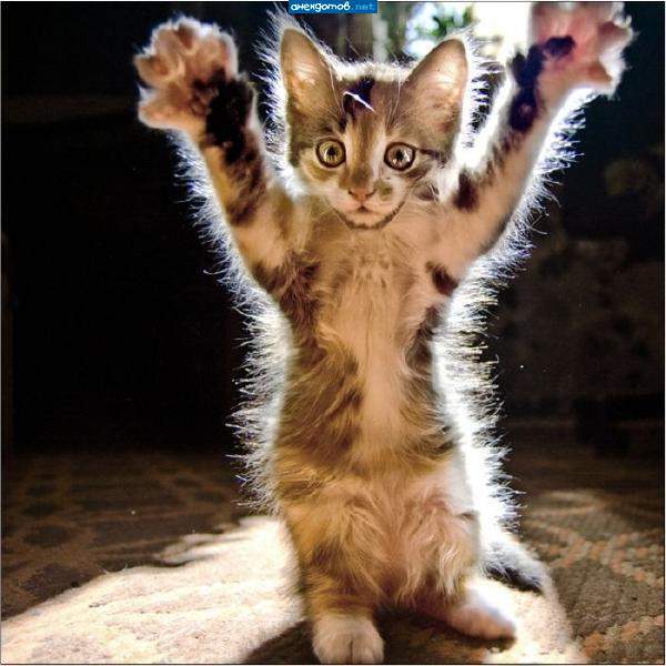 Артур Тухбатшин