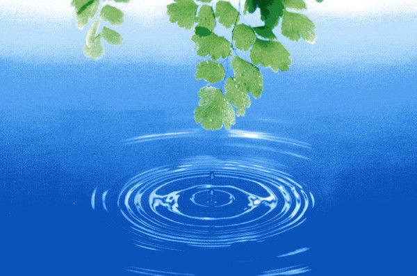 Дмитрий Иващенко