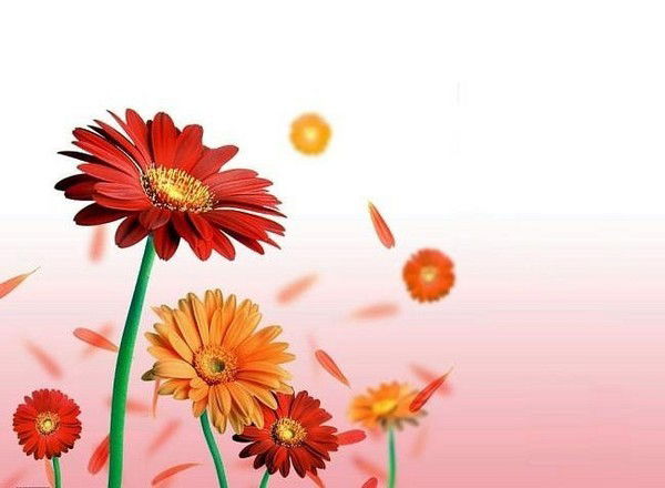 Алёна Яковлева