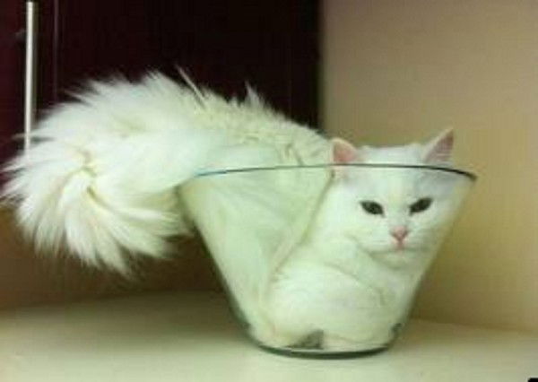 Нина Царегородцева