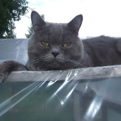 Сергей Кондратенков