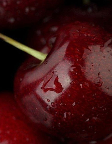 Татьяна Забаруния