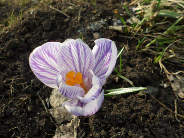 Райса Ахметдинова