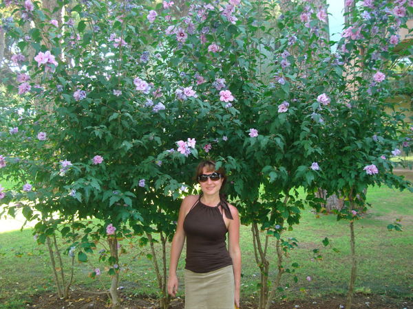 Наталья Орлова