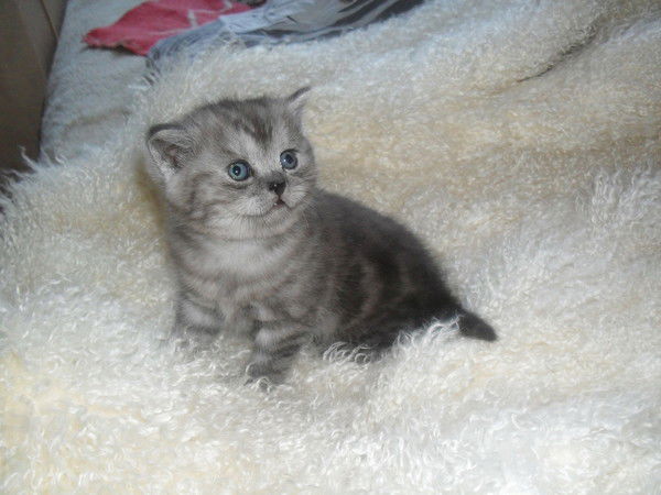 Юлия Заваловская