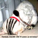 Екатерина Ананьева