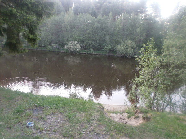 Анна Сергеева