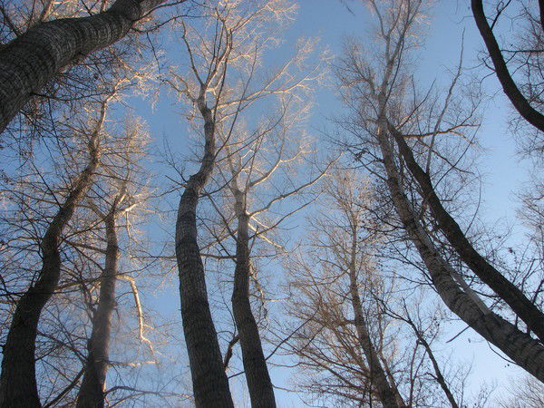 Валерий Лорд