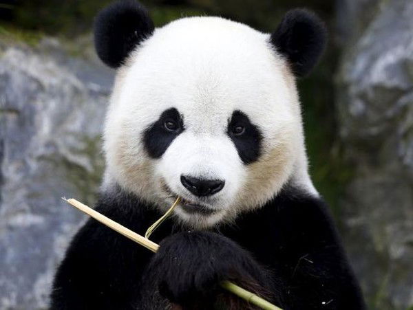 Козырев Евгений