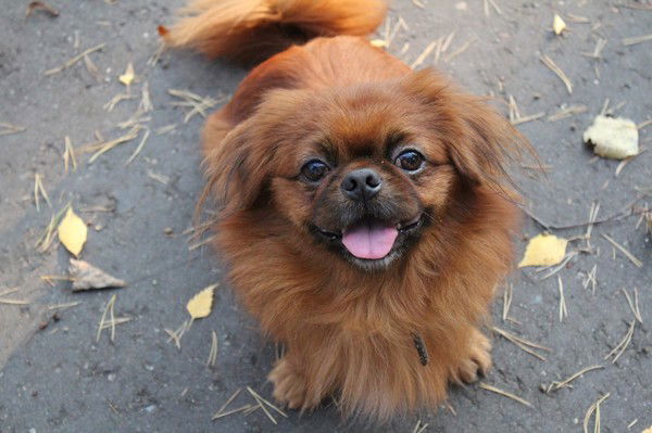 Елена Козлова