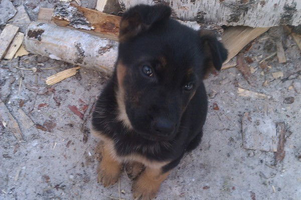 Павел Иванченко