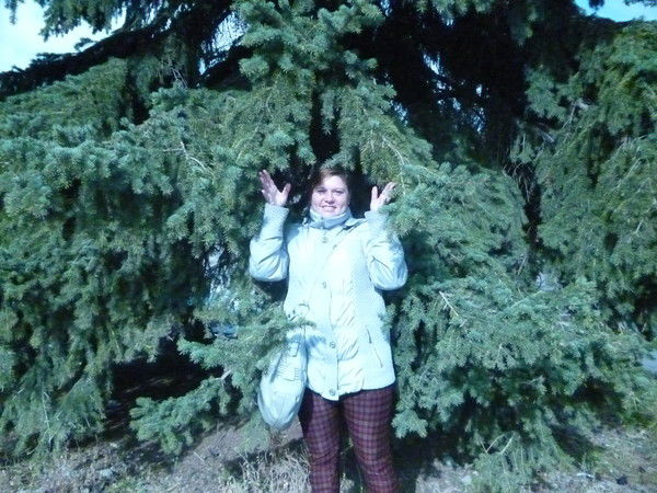 Лиля Гермус