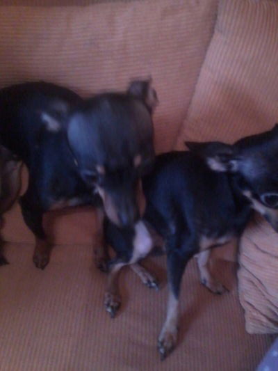 Настя Орлова