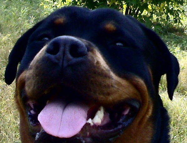 Евгения Сидорова