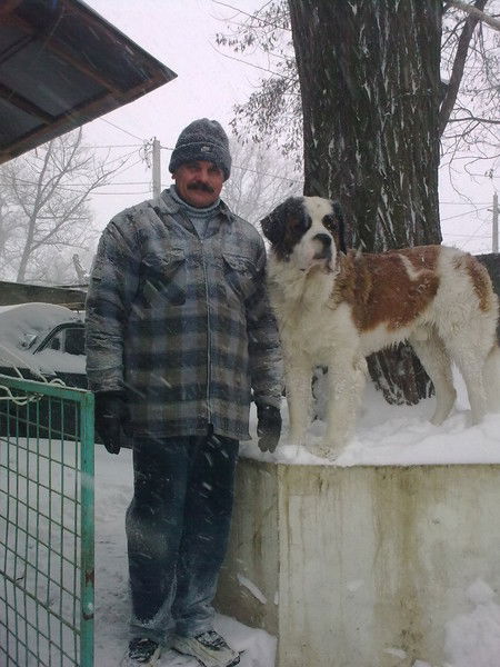 Виталий Давидович