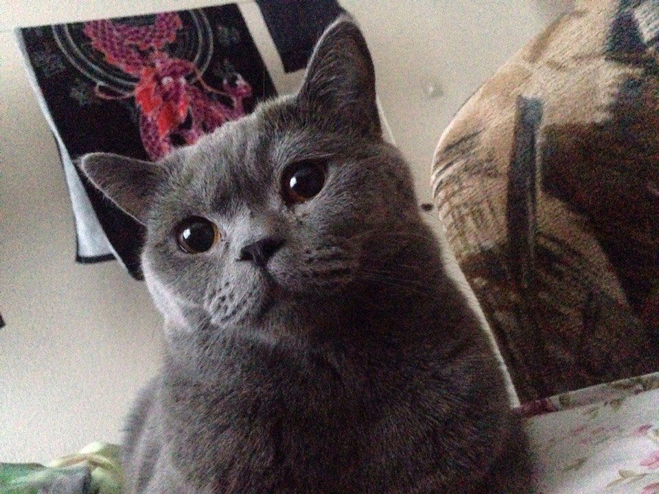 Сергей Семериков