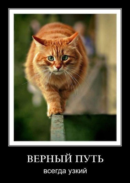 Валерий Дроботун