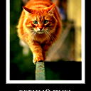 Валерий Дроботун