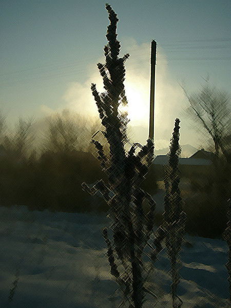 Андрей Шатских