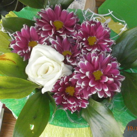 Екатерина Миронова