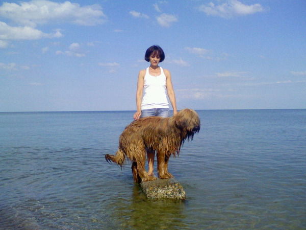 Наталия Толоманенко