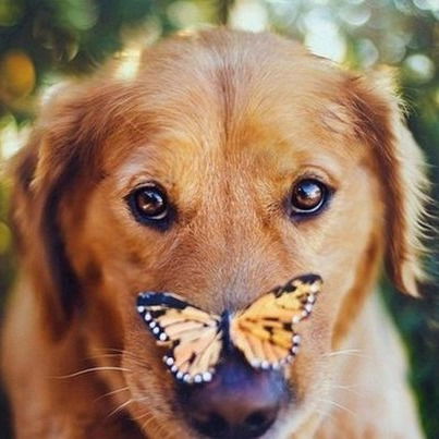 Ирина Ермолаева