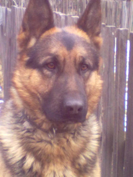 Лилия Головень