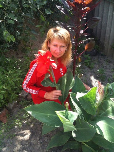 Анна Прядко