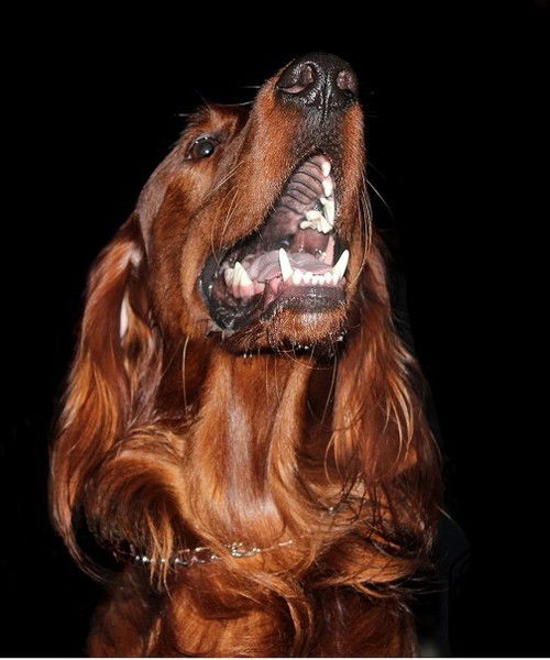 Татьяна Решетникова