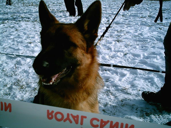 Олег Славкин