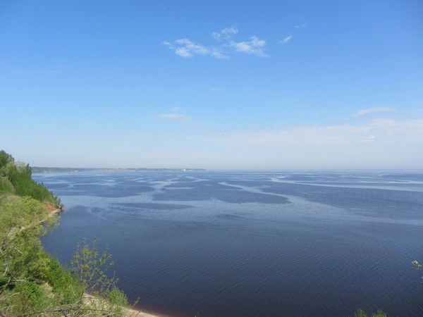 Александр Грязин