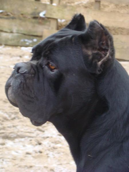 Ольга Спирина