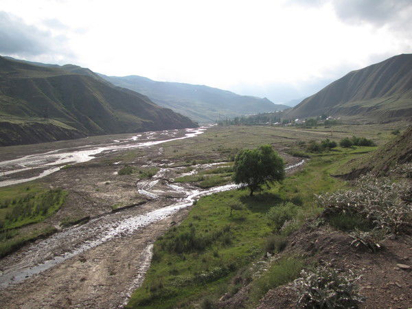 Роберт Гасанбеков