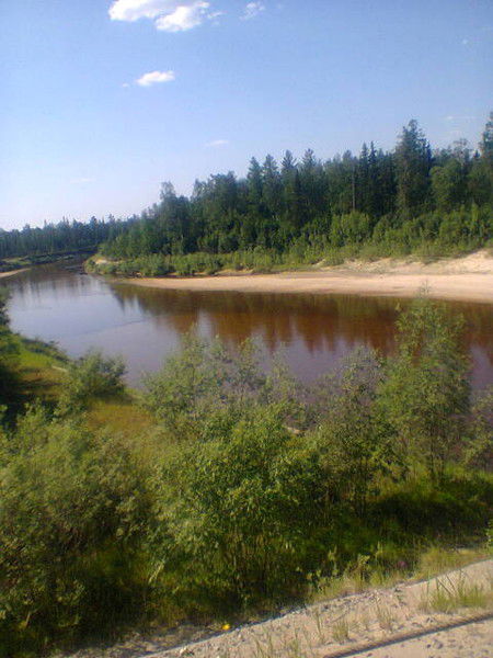 Марина Пирогова