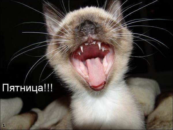 Владимир Кабанов