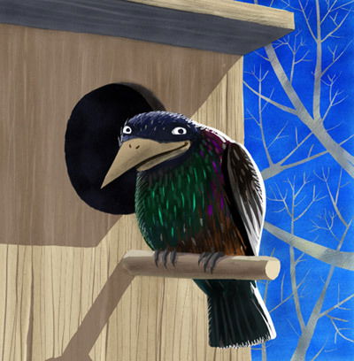 Сергей Толкачёв