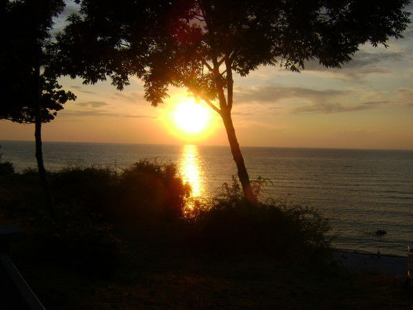 Яна Корнева