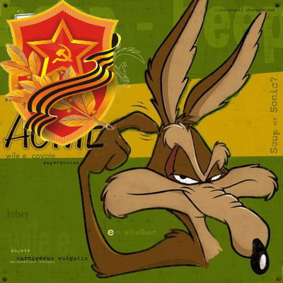 Wile E Coyote