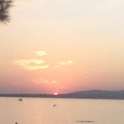 Елена Лаврова