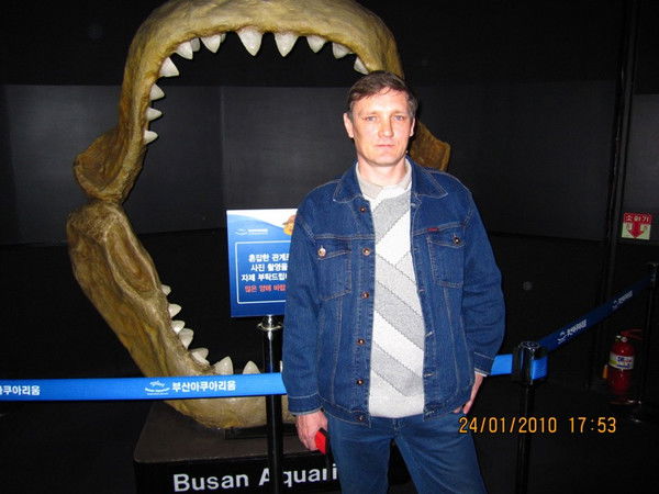 Вадим Высоцкий