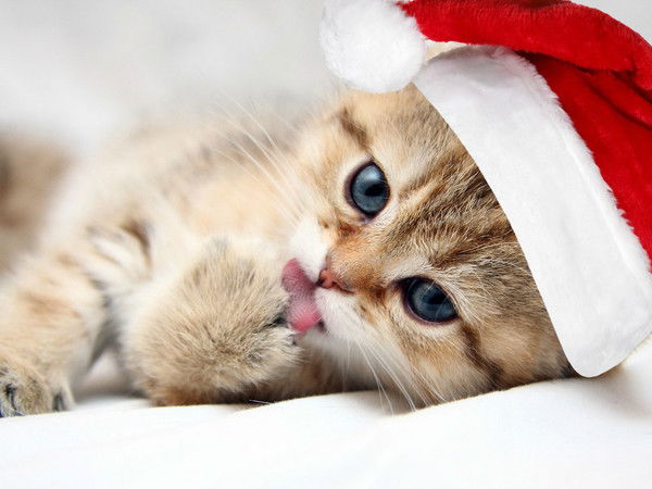 Аленочка Крюкова