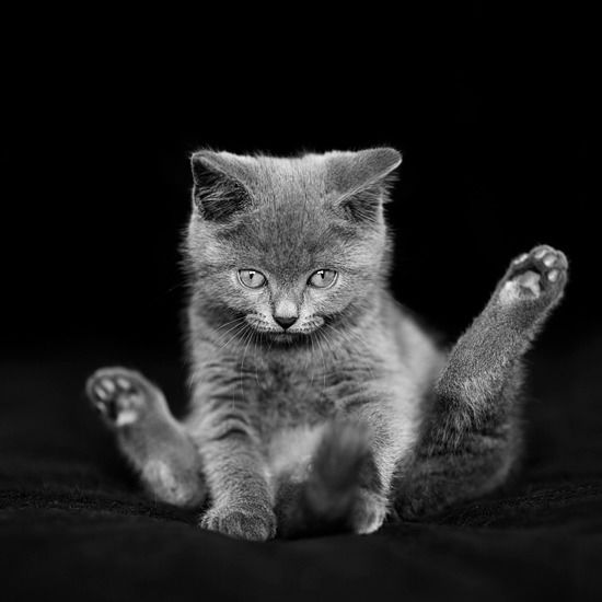 Любовь Серова