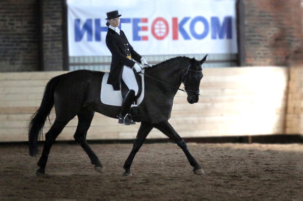 Наталия Прохорова